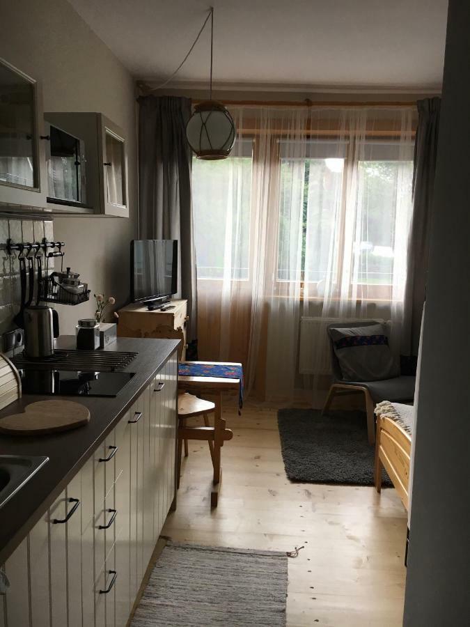 Nosalove Apartamenty 扎科帕内 外观 照片